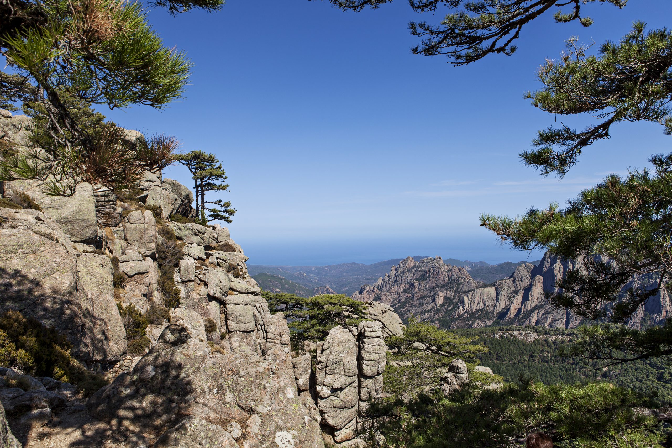 Découvrir la région de Bavella en Corse du Sud